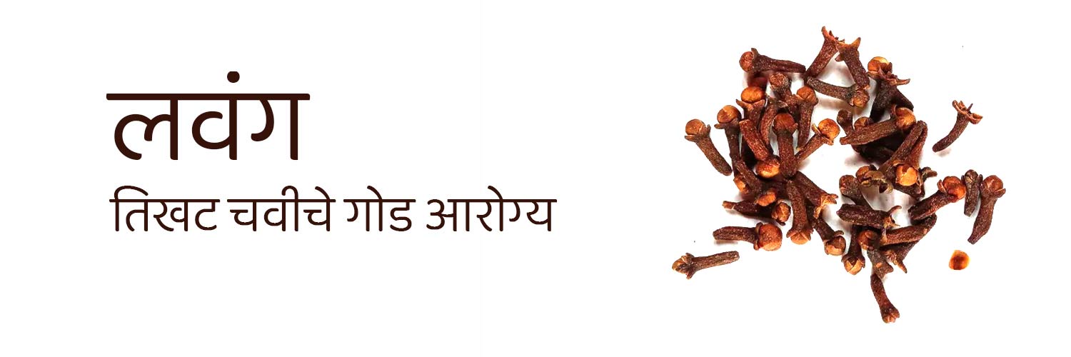 लवंग ब्लॉग बॅनर | clove blog image